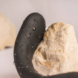 The Vibe 10 Speed Remote Mens Silicone Cock Ball and Anal Vibrator