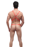 Male Power Rip Off Harness Set