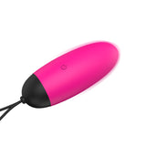Ada Vibrating Egg w Remote Pink