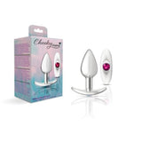 Cheeky Charms Silver Anchor Butt Plug  w Clear and Pink Jewel Kit