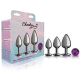 Cheeky Charms Round Metal Butt Plug Gunmetal 3 Pc Kit w Purple Jewel